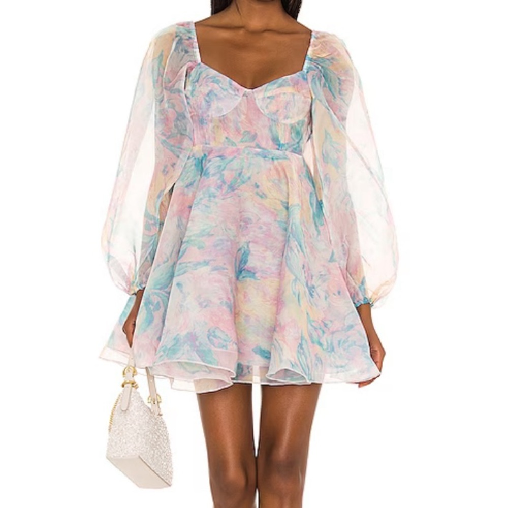 Whimsical Puff Sleeve Dress - NWT Selkie